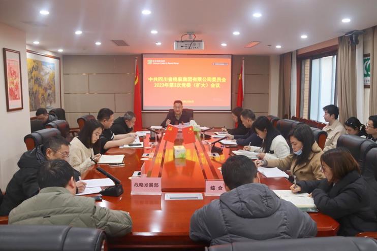 集團(tuán)公司召開2023年 第3次黨委（擴大）會議