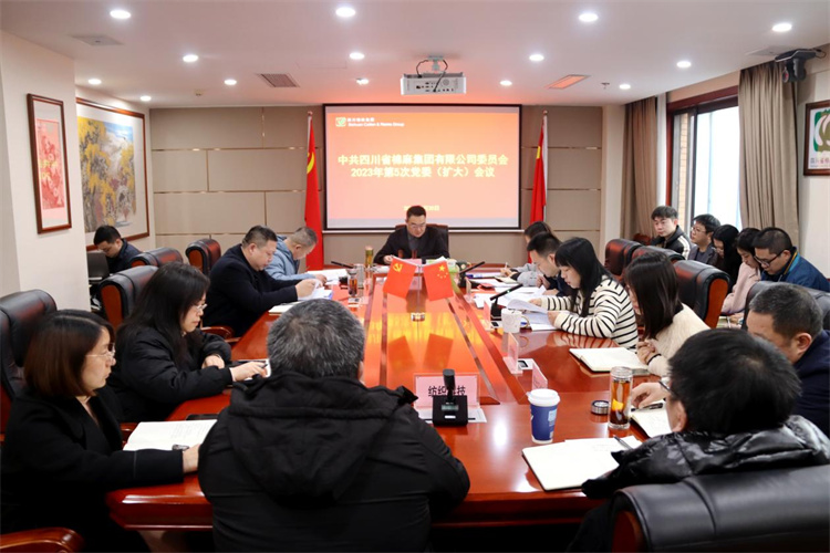 集團(tuán)公司召開2023年第5次黨委（擴大）會議