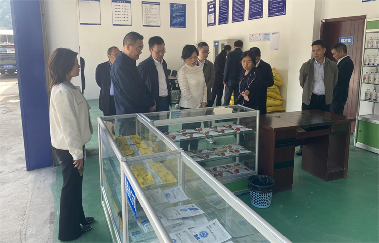 四川省供銷社黨組成員、理事會副主任、一級巡視員楊武秀帶隊到萬源調研集團舊院黑雞產(chǎn)業(yè)發(fā)展工作