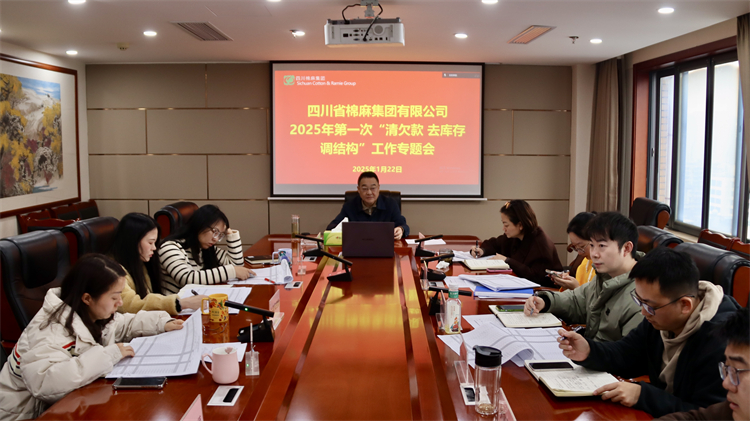 集團(tuán)公司召開2025年第一次“清欠款、去庫存、調(diào)結(jié)構(gòu)”工作專題會